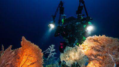 探索极地、守护深海珊瑚礁与游牧资源！劳力士雄才伟略大奖新得主创下“环境保护”新高度