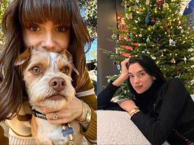 风・Luxury／女星最常撞的金表出列　卡地亚、“表王”人气旺