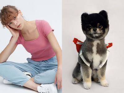 UNIQLO时髦方领上衣成“缺货潜力股”　首推“宠物背包”毛孩爸妈超心动！