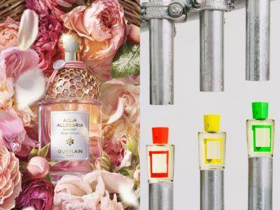 极限量！卖完就没的花草水语淡香水、联名克罗尼亚古龙水　喷上绝不怕撞香