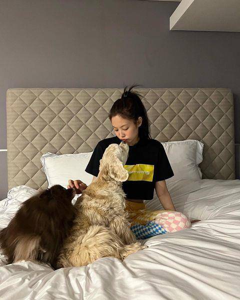 王阳明睡过席梦思后悔：以前干嘛省钱？大手笔想帮女儿也买一张 名人名流 图6张