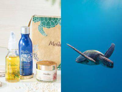 救救海龟!海洋保育摄影展好疗愈,超可爱海龟杯垫用吸管制限量200个