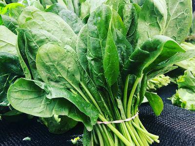 掉发别再来！营养师教你吃出“健康强韧”发质，菠菜也入榜