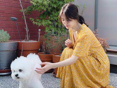 宋慧乔遇见萌犬就融化了　甜美碎花装泄少女心