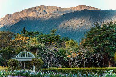专／花莲女力发威　“护理师”转行打造香草王国推顶级养生Villa