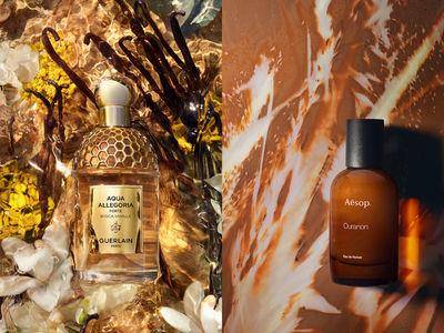 闻腻了花果香？喷上5款“温柔木质香”，开启美好的一天