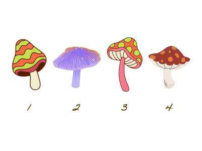 近期的你适合谈恋爱吗？选到这朵菇身边有人在暗恋你