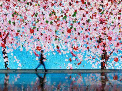 Tiffany Café圣诞节档期吃得到！　浪漫花卉网美墙打头阵