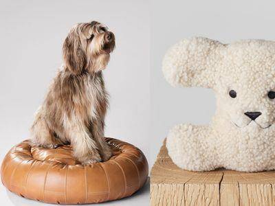 CELINE出1.4万元绒毛玩具给狗玩！设计师拍毛小孩　视角超有爱