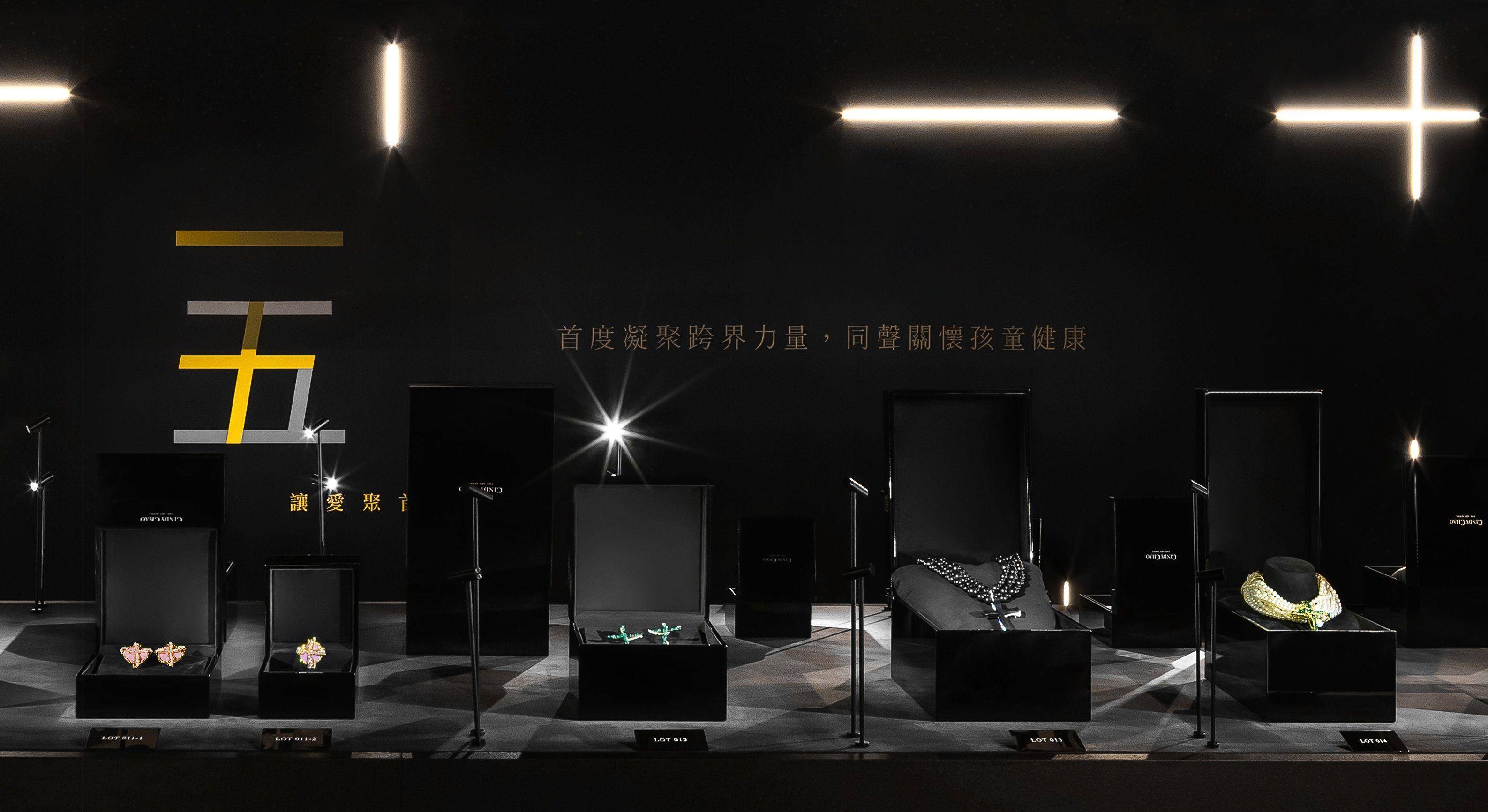 亮・珠宝／安海瑟薇收起笑容　戴宝格丽慈善项炼呼吁救助弱势童 名人名流 图5张
