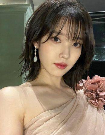 甜美脸蛋可盐可甜！IU堪称“发型彩妆教科书”　任何造型难不倒 最新资讯 图3张