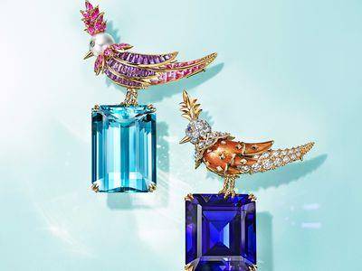 亮・珠宝／Tiffany彩虹石上鸟配色大胆　立于巨大彩宝气势逼人　