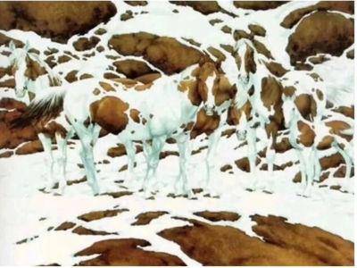 爆准!第一眼看到雪还是岩石?秒测你的“真实婚姻观”