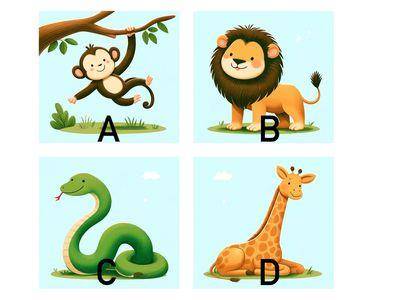 哪种告白方式最无法招架？超准心测分析你的恋爱心理