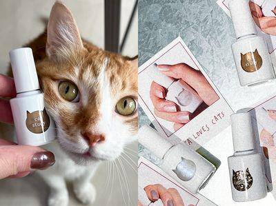 猫奴荷包要空了！超可爱猫咪指甲油细节满满　连颜色都是按照毛色调配