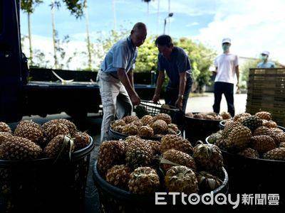 妈祖进香结缘品　山脚传奇凤梨酥淡季冲出惊人销量