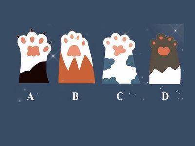 你是哪种恋爱性格？选择一个小猫爪超准分析