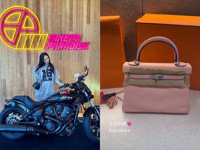 陈乔恩买爱马仕不手软　两款新欢到手、樱花粉凯莉包超美