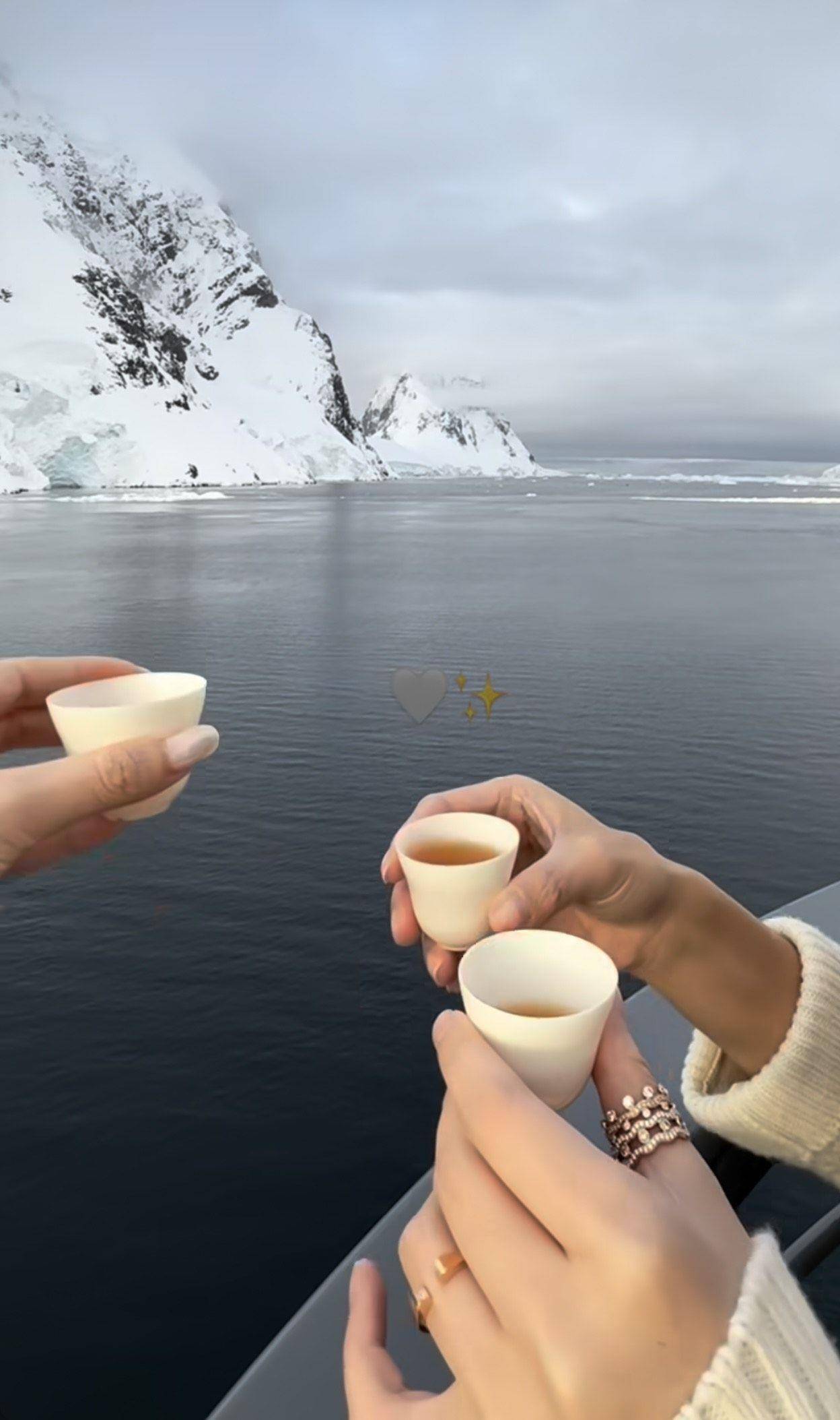 “马来西亚最美千金”拎爱马仕包游南极　豪奢之旅毛茸茸配件全出动 名人名流 图3张