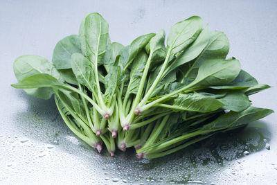 超市就能买到!让头发疯长的5种食物