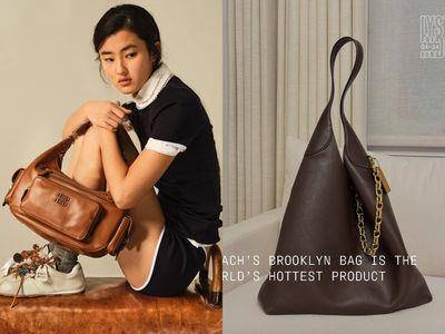 说流行/Lyst 2024 Q4榜单揭晓!COACH这颗包成神级单品、杀进热门品牌