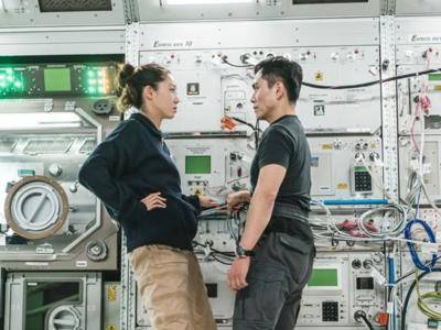 关于出轨“4大真相” 劈腿的人为什么过得比我好?