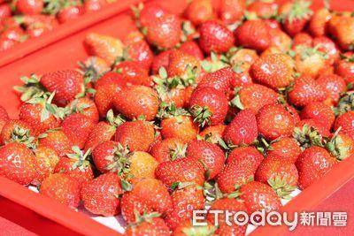 告别腰间赘肉!“莓果+高密度营养饮食”轻松维持健康线条