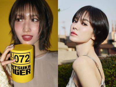 2025韩星短发范本　Momo轻狼尾层次剪、宋慧乔男孩风蓬松感太吸睛