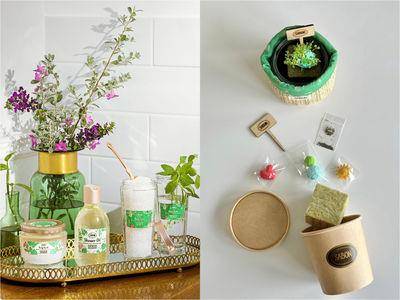 美妆地球月开跑！SABON邀你环保植栽DIY、AAEDA故事卡只送不卖