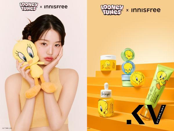 INNISFREE携手崔弟推出超可爱联名、幻蓝小熊代言香水讨论度破表 最新资讯 图1张