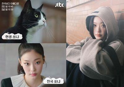 《比天堂还美丽》爆红人间猫咪崔熙真　演活小黑猫索尼亚掀全网热搜