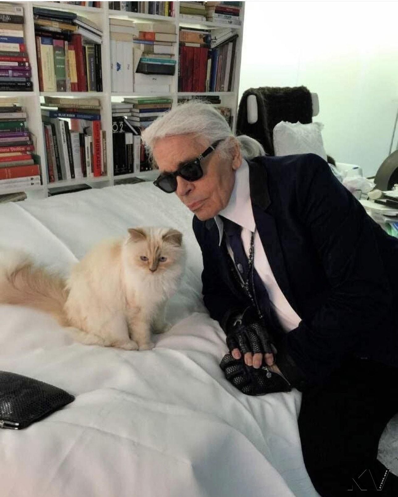 “时尚老佛爷”贵气爱猫拍名表广告　慵懒模样萌翻 奢侈品牌 图3张