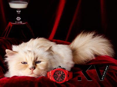 “时尚老佛爷”贵气爱猫拍名表广告 慵懒模样萌翻