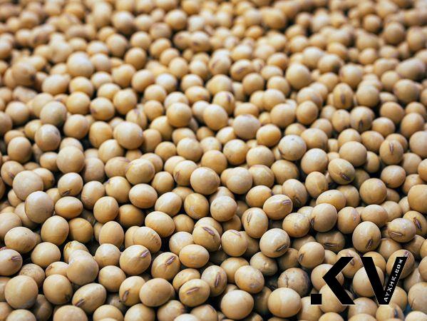 白发冒不停？营养师教你“补对食物”延缓白发生成 最新资讯 图4张