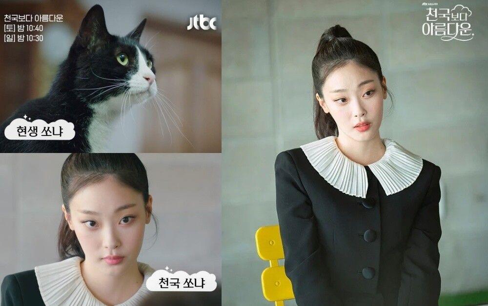 「人间猫咪」崔熙真私服爱包推荐！Fika Bag洗版社群、CELINE背包必收 时尚穿搭 图1张
