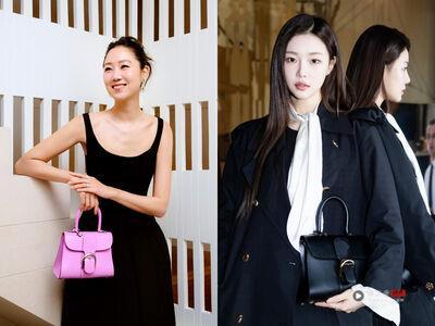 孔孝真、李时安拎Delvaux经典包！Brillant变韩星爱用　小花刺绣款必收
