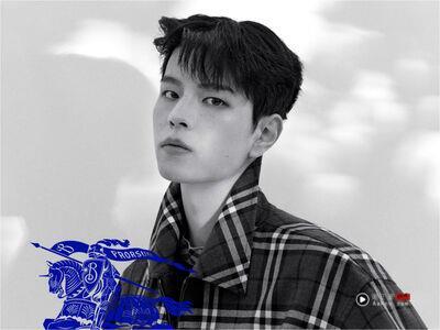 Stray Kids金昇玟成为Burberry品牌大使！帅气风衣加持9头身男神比例