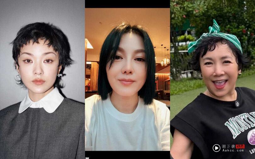 章子怡剪了“狗啃浏海”撞脸郭采洁　网看傻：国际脸都救不了 名人名流 图4张