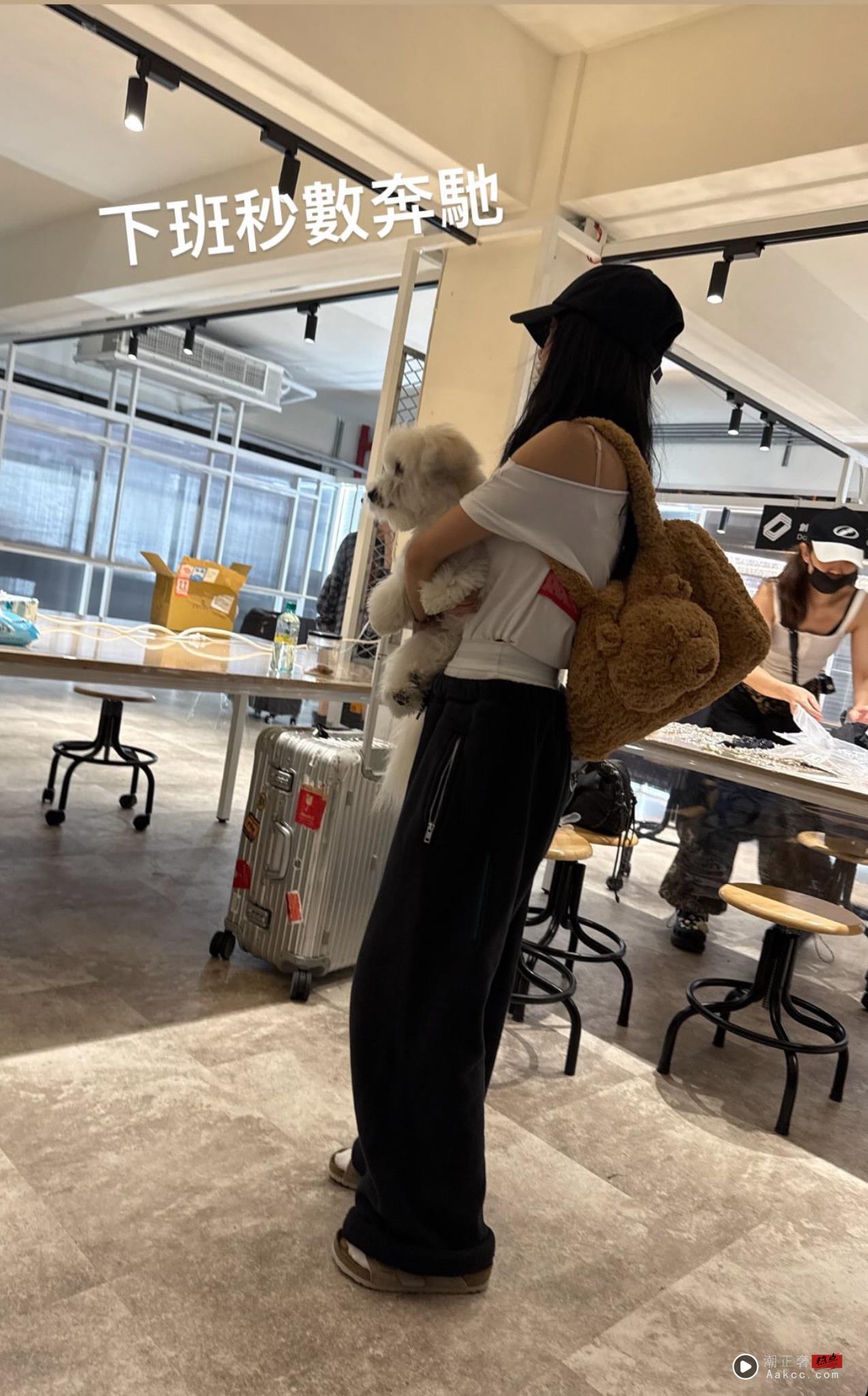蔡依林背3,300元小熊包可爱指数破表　与BTS成员V撞同款 时尚穿搭 图1张