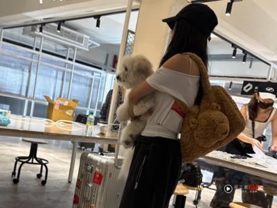蔡依林背3,300元小熊包可爱指数破表 与BTS成员V撞同款