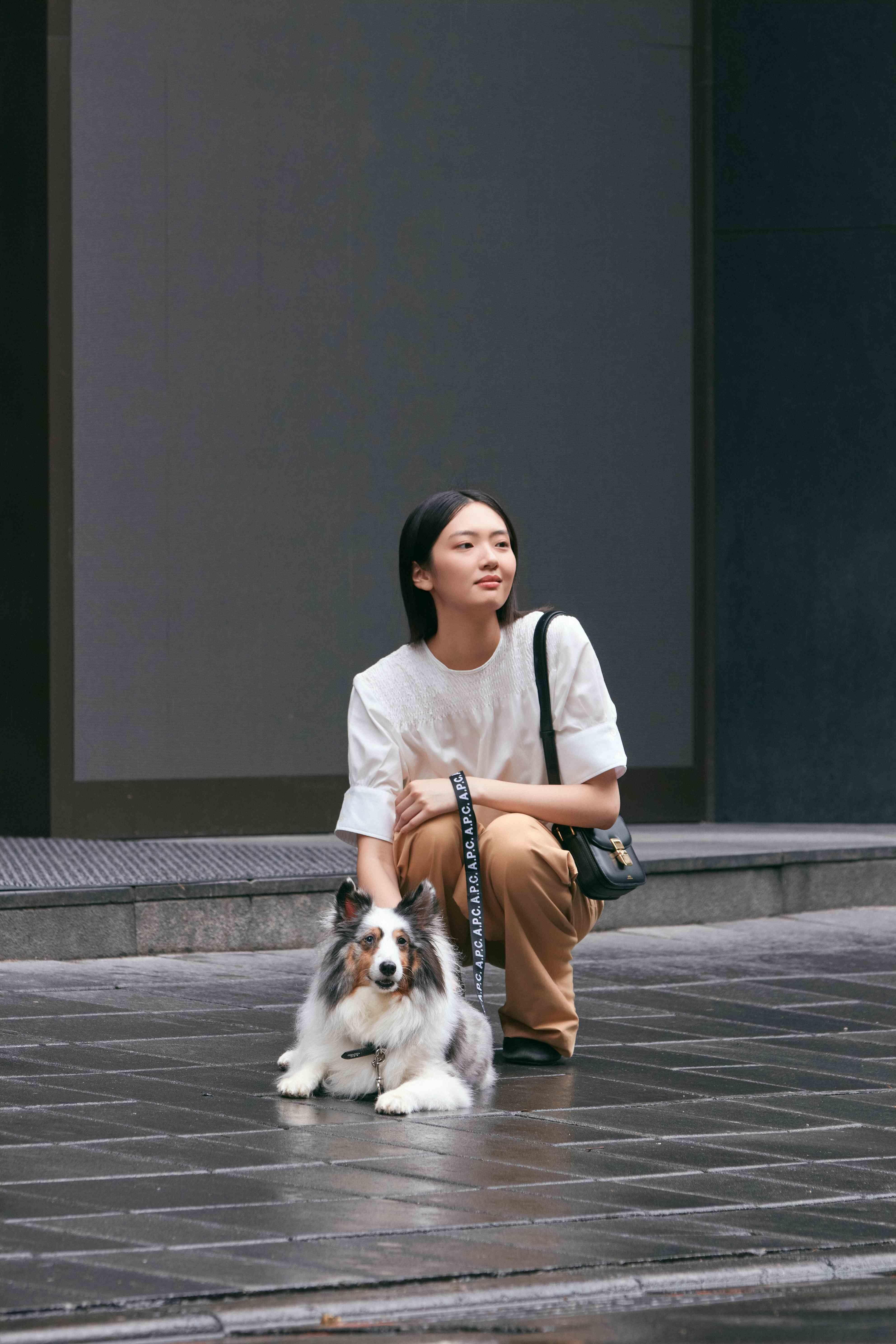 A.P.C.绝美新店进驻Dream Plaza！“独卖宠物系列”皮革牵绳、领巾太时髦 时尚穿搭 图3张