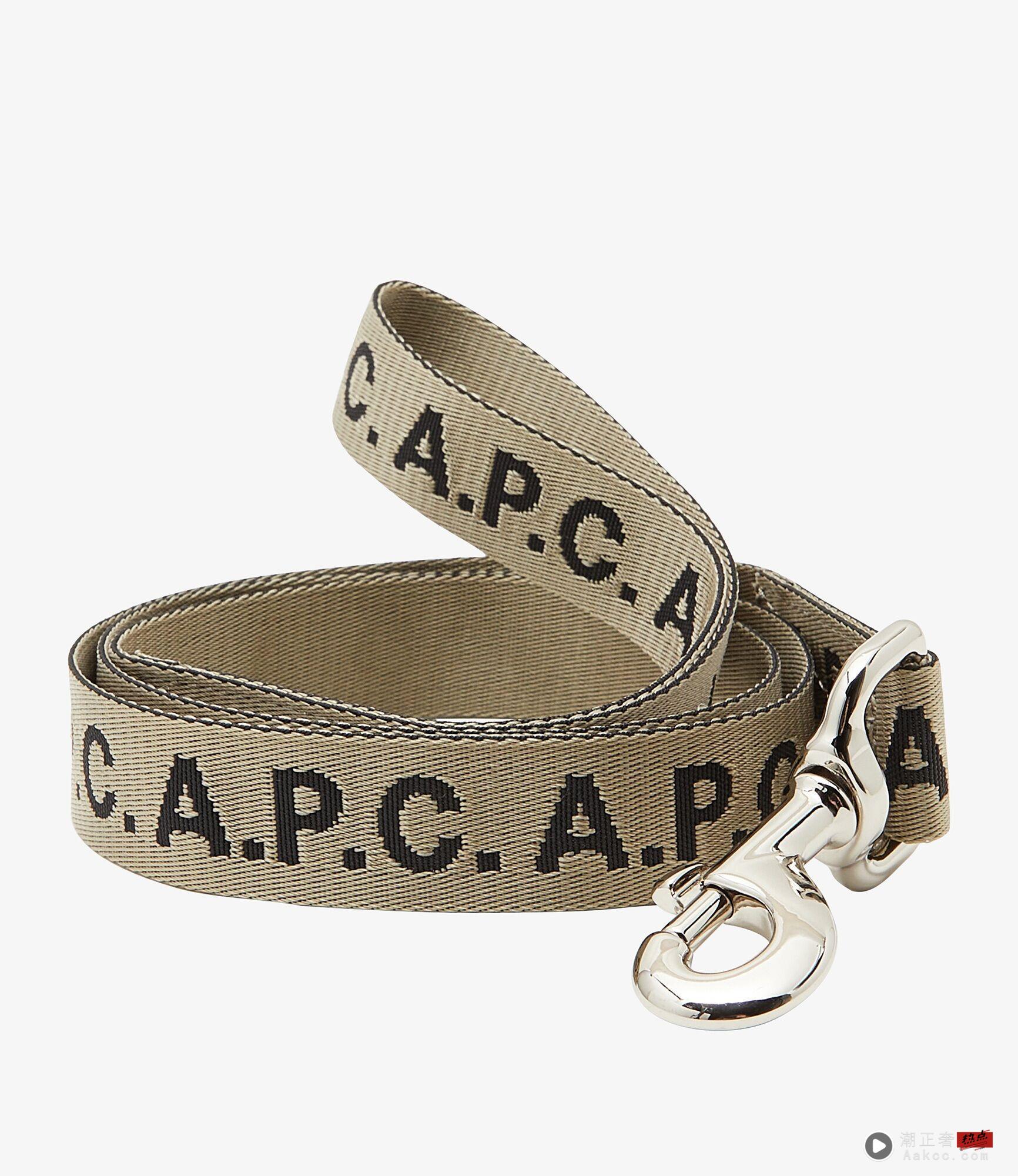 A.P.C.绝美新店进驻Dream Plaza！“独卖宠物系列”皮革牵绳、领巾太时髦 时尚穿搭 图6张