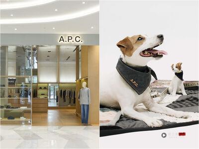 A.P.C.绝美新店进驻Dream Plaza!“独卖宠物系列”皮革牵绳、领巾太时髦