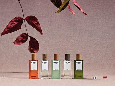 潘海利根魔幻系列推出旅行装、LOEWE迷你香氛礼盒一次拥有人气香