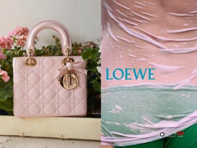 Dior“蝴蝶结黛妃包”实在太可爱　LOEWE用小裤裤吐露西班牙性感