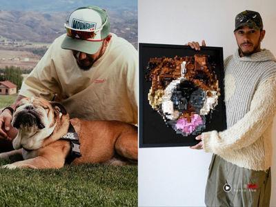 F1车手汉米尔顿痛失爱犬　粉丝以乐高拼出狗儿肖像献安慰