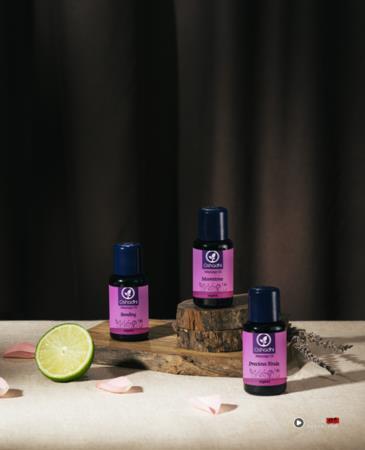 换季睡不好？专家教你这样挑精油　解救身心不适状况 最新资讯 图1张