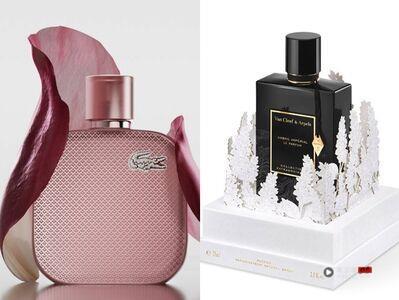 圣诞礼物挑香水不出错！秋冬新香木质调、花香调打造温暖时髦的节日氛围