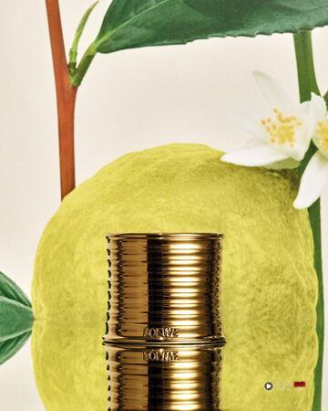 美周记/2026 RMK 春妆抢先报到!“朦胧粉彩色”成主流 内容图5 潮正奢/潮品文/潮臻社-实时追踪全球最新奢侈品牌新闻资讯的官网站! ▲▼美周记。(图/品牌提供)