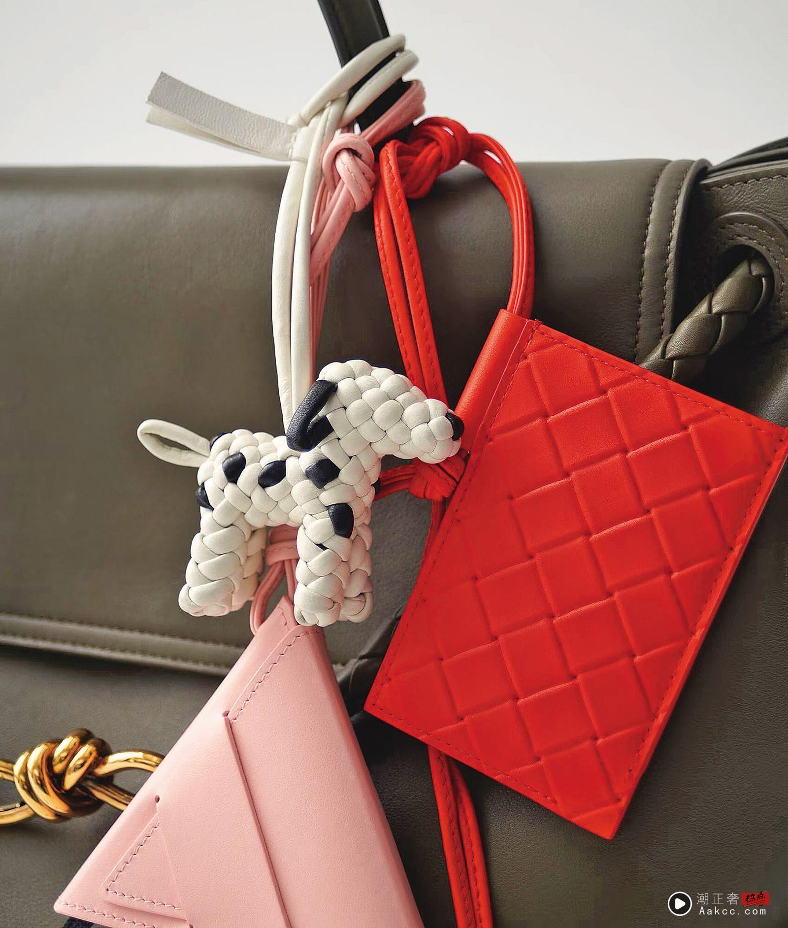 靓鉴赏／小可爱报佳音